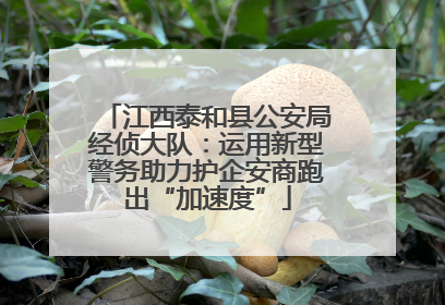 江西泰和县公安局经侦大队：运用新型警务助力护企安商跑出“加速度”