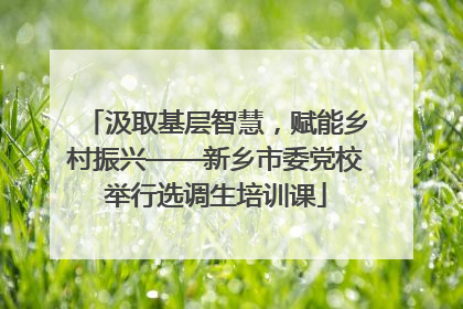 汲取基层智慧，赋能乡村振兴——新乡市委党校举行选调生培训课