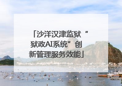 沙洋汉津监狱“狱政AI系统”创新管理服务效能