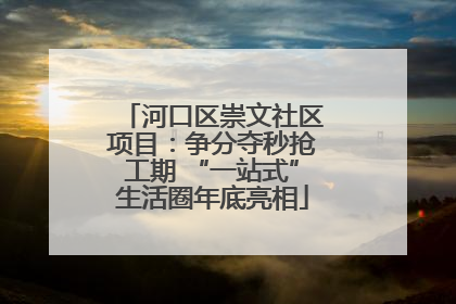 河口区崇文社区项目：争分夺秒抢工期 “一站式”生活圈年底亮相