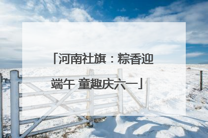 河南社旗：粽香迎端午 童趣庆六一