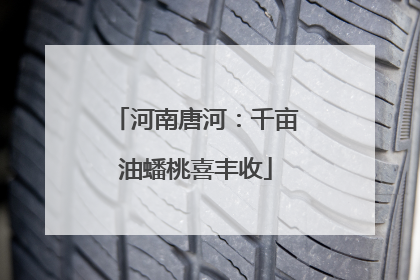 河南唐河：千亩油蟠桃喜丰收