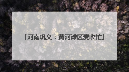 河南巩义：黄河滩区麦收忙