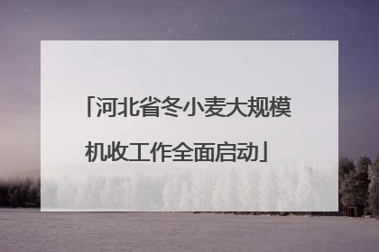 河北省冬小麦大规模机收工作全面启动