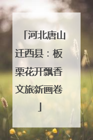 河北唐山迁西县：板栗花开飘香文旅新画卷