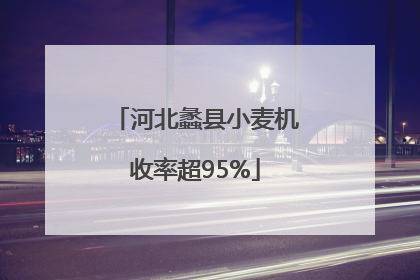 河北蠡县小麦机收率超95%