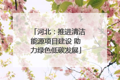 河北：推进清洁能源项目建设 助力绿色低碳发展