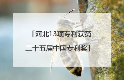 河北13项专利获第二十五届中国专利奖