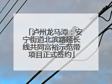 泸州龙马潭：安宁街道北滨路延长线共同富裕示范带项目正式签约