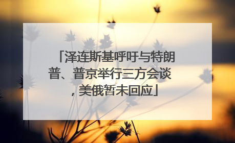泽连斯基呼吁与特朗普、普京举行三方会谈，美俄暂未回应