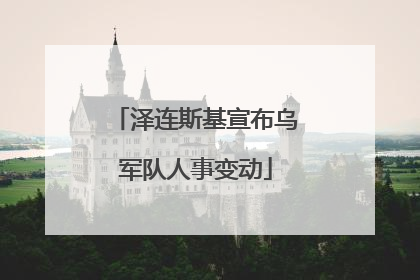 泽连斯基宣布乌军队人事变动