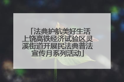 法典护航美好生活 上饶高铁经济试验区灵溪街道开展民法典普法宣传月系列活动