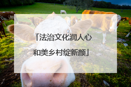 法治文化润人心 和美乡村绽新颜
