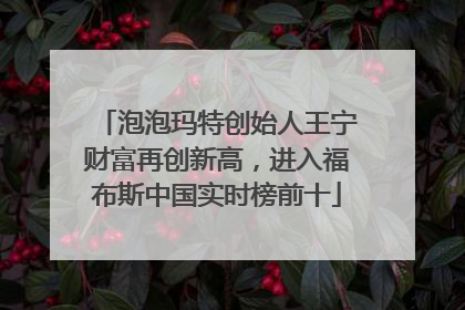 泡泡玛特创始人王宁财富再创新高，进入福布斯中国实时榜前十