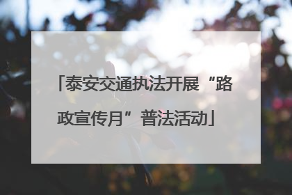 泰安交通执法开展“路政宣传月”普法活动