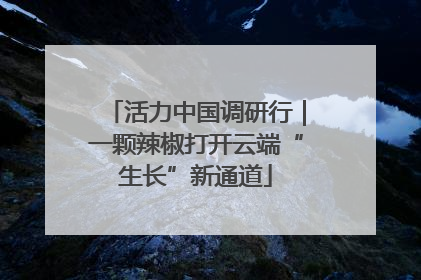 活力中国调研行｜一颗辣椒打开云端“生长”新通道