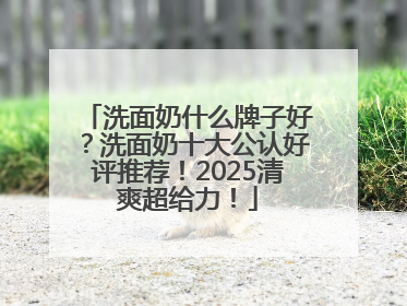 洗面奶什么牌子好？洗面奶十大公认好评推荐！2025清爽超给力！