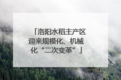 洛阳水稻主产区迎来规模化、机械化“二次变革”