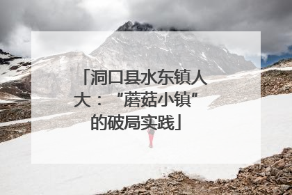 洞口县水东镇人大：“蘑菇小镇”的破局实践
