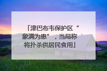 津巴布韦保护区“象满为患”，当局称将扑杀供居民食用