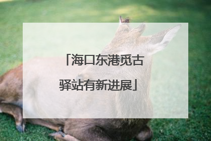 海口东港觅古驿站有新进展