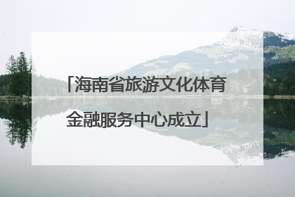 海南省旅游文化体育金融服务中心成立