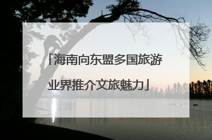 海南向东盟多国旅游业界推介文旅魅力