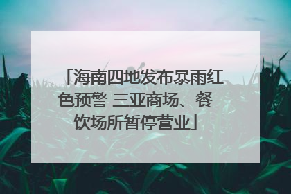 海南四地发布暴雨红色预警 三亚商场、餐饮场所暂停营业