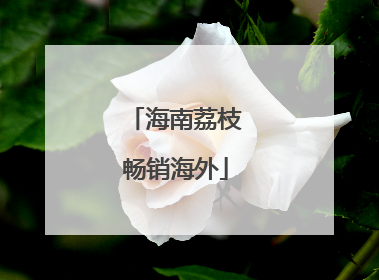 海南荔枝畅销海外