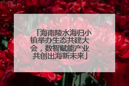 海南陵水海归小镇举办生态共建大会，数智赋能产业共创出海新未来