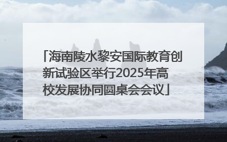 海南陵水黎安国际教育创新试验区举行2025年高校发展协同圆桌会会议