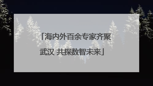 海内外百余专家齐聚武汉 共探数智未来