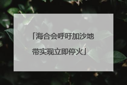 海合会呼吁加沙地带实现立即停火