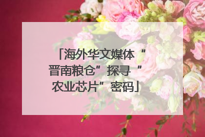 海外华文媒体“晋南粮仓”探寻“农业芯片”密码