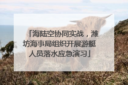 海陆空协同实战，潍坊海事局组织开展游艇人员落水应急演习