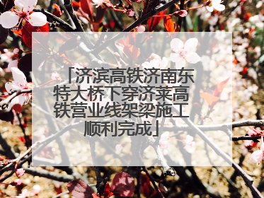 济滨高铁济南东特大桥下穿济莱高铁营业线架梁施工顺利完成