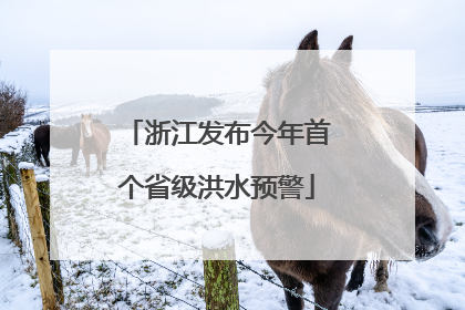 浙江发布今年首个省级洪水预警