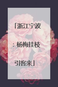 浙江宁波：杨梅挂枝引客来