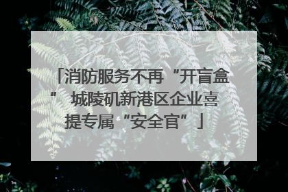 消防服务不再“开盲盒” 城陵矶新港区企业喜提专属“安全官”