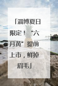 淄博夏日限定！“六月黄”提前上市，鲜掉眉毛
