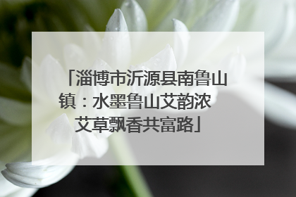 淄博市沂源县南鲁山镇：水墨鲁山艾韵浓 艾草飘香共富路