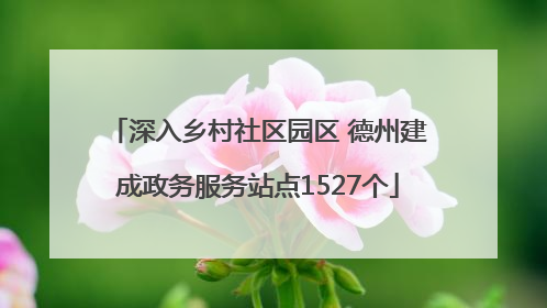 深入乡村社区园区 德州建成政务服务站点1527个