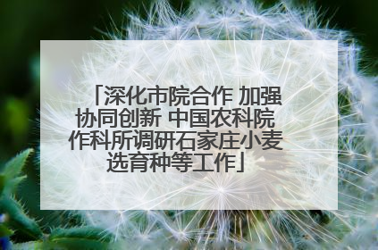 深化市院合作 加强协同创新 中国农科院作科所调研石家庄小麦选育种等工作