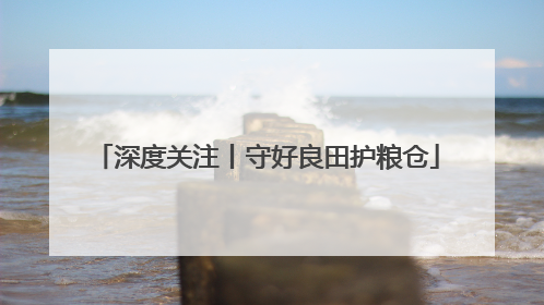 深度关注丨守好良田护粮仓