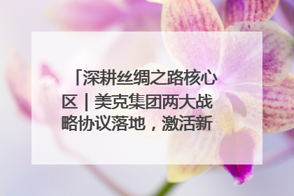 深耕丝绸之路核心区｜美克集团两大战略协议落地，激活新疆开放新动能
