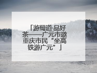 游蜀道·品好茶——广元市邀重庆市民“坐高铁游广元”