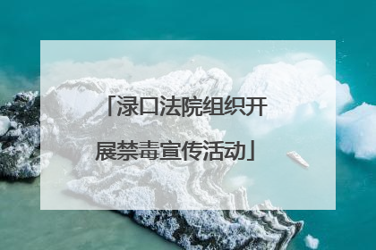 渌口法院组织开展禁毒宣传活动