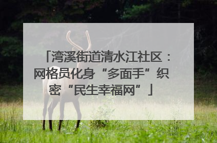 湾溪街道清水江社区：网格员化身“多面手”织密“民生幸福网”