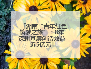 湖南“青年红色筑梦之旅”：8年深耕基层创造效益近5亿元