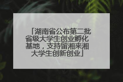 湖南省公布第二批省级大学生创业孵化基地，支持留湘来湘大学生创新创业